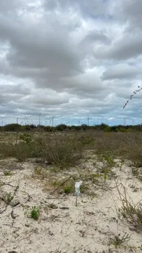 Aluguel ou venda de terreno Salina da Cruz 