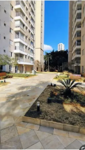 Apartamento para aluguel tem 59 metros quadrados com 2 quartos em Vila Vera - São Paulo - 
