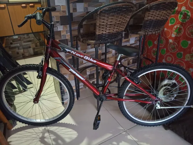 Bicicleta infantil menino aro 20