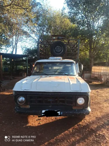 Vendo D10 boiadeiro 