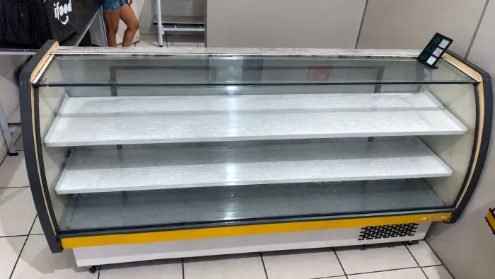 Freezer horizontal