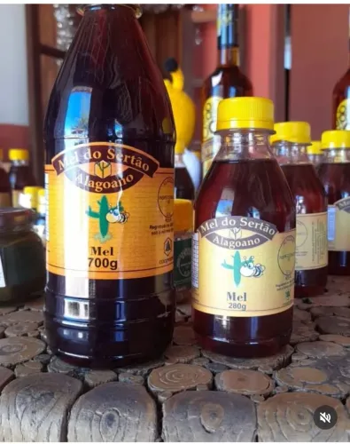 Mel puro 100% natural - direto do produtor