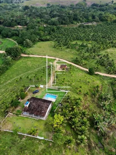 Fazenda completa de 20ha em Tamandaré-PE com 4000 pés de coco rendendo 18000 cocos por mês