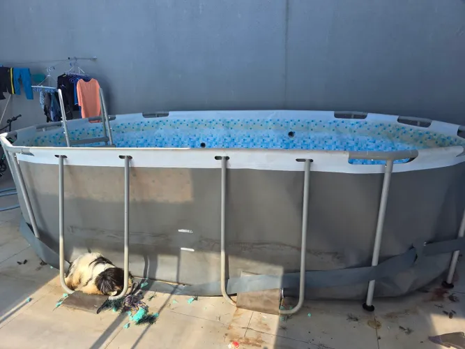 Piscina usada 7mil litros de estrutura.