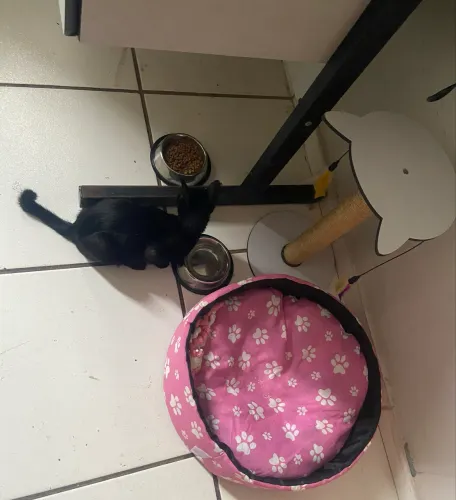 Doação responsável 