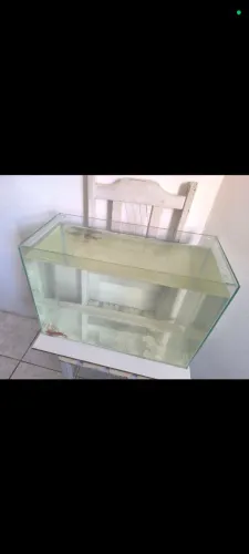 Aquário 50 litros 