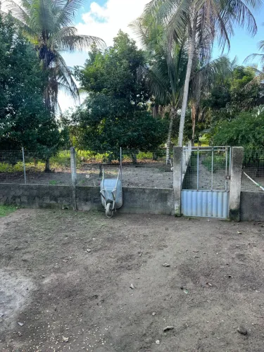 Casa de fazenda com terreno enorme com árvores frutíferas