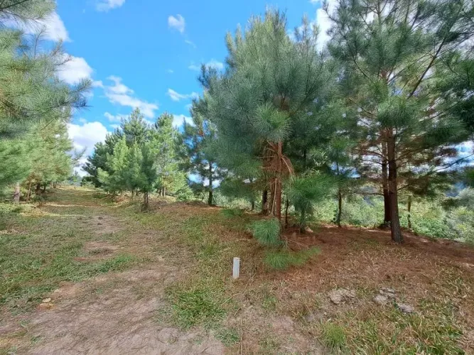 Lote rural DOUTOR PEDRINHO - SC