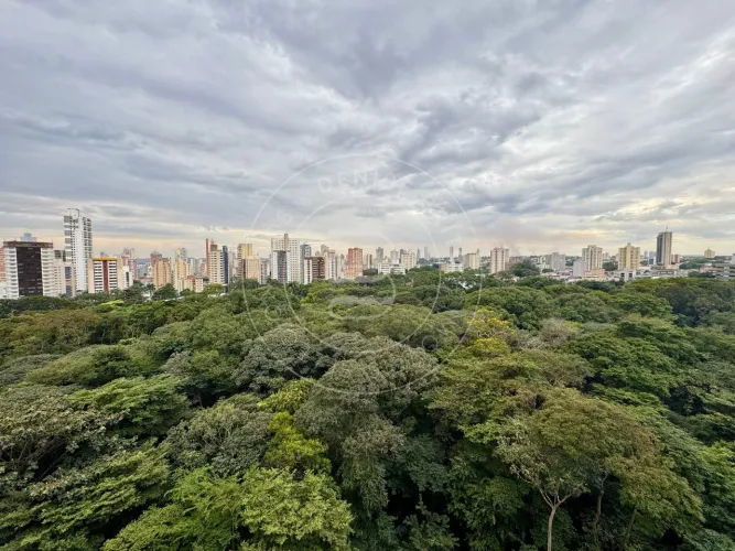 Ed. Bosque dos Buritis - Apartamento 317 m² com varanda e vista definitiva para o Bosque d