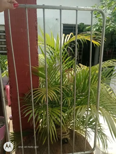 Varal de alumínio