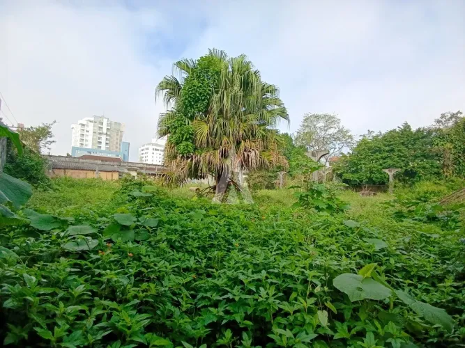 Terreno com 3.818,06m² à venda no bairro Anita Garibaldi, em Joinville-SC, por R$ 7.500.00