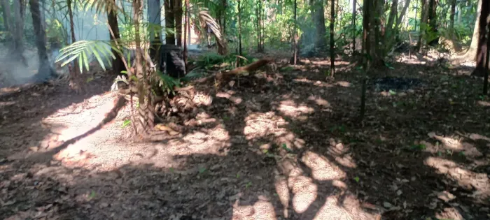 Vendo ou troco em um carro esse terreno próximo o anauerapucu.medindo 10x50 com garape