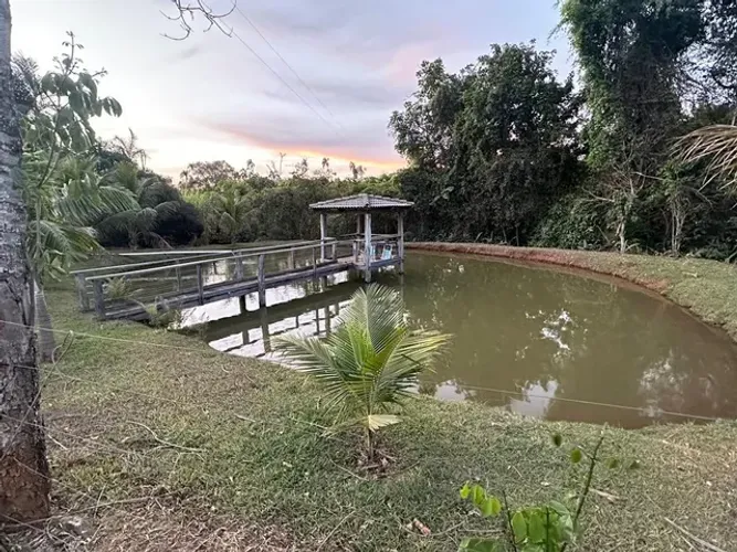 Fazenda de 15 alqueires porteira fechada Leopoldo de Bulhões - GO