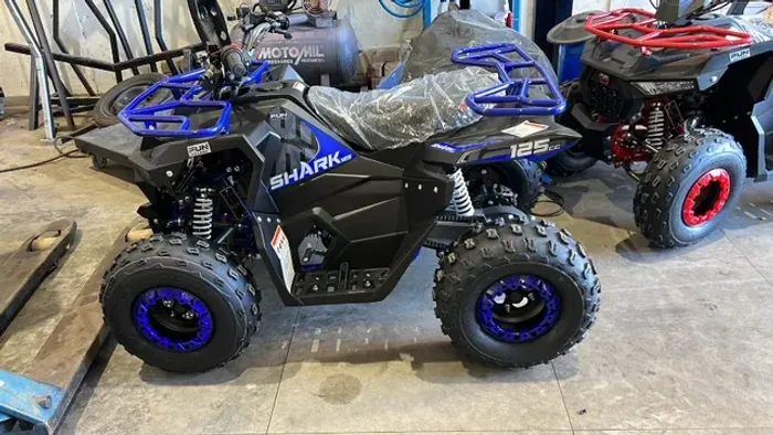Mini Quadriciclo Shark Fun Motors 125 cc