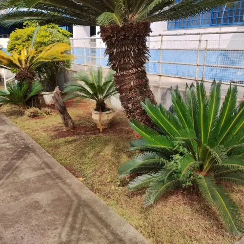 Jardineiro
