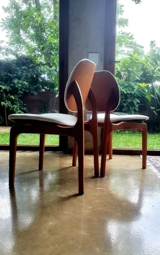 Poltrona modernista moderna Tauari n jacaranda cadeira persa mogno imbuia sierra moveis