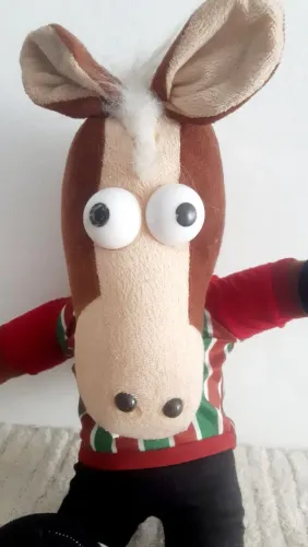 ALO ALO COLECIONADOR CAVALINHO DO FLUMINENSE