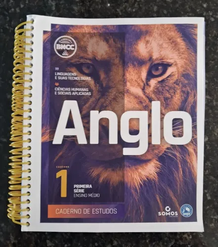 Livros Anglo - Caderno de estudos 1 - Kit Linguagens e Matemática