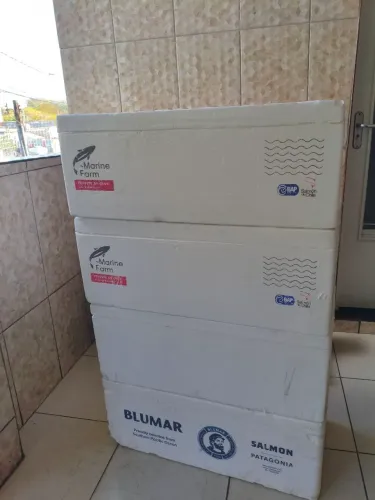 Caixas Térmicas para Transporte de Alimentos