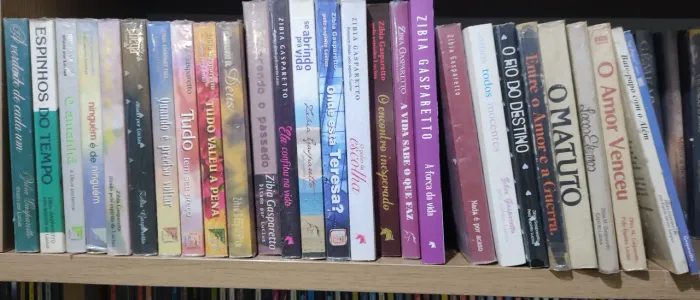 Livros Espíritas "Zíbia Gasparetto"_Valor unitário