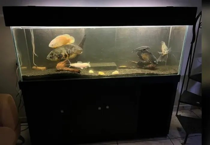 Aquário 360 litros com Sump - Completo