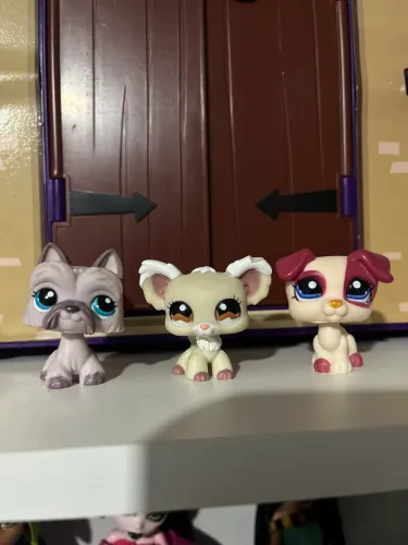Littlest pet shop trio de cães