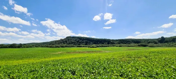 Fazenda na Serra Catarinense- Bom Retiro - 640.000 m²