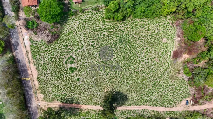 Terreno Exclusivo à Venda no Condomínio Bosque de Notre Dame  Sousas, Campinas/SP