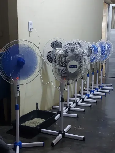 Ventilador fratelli 30cm novos 
