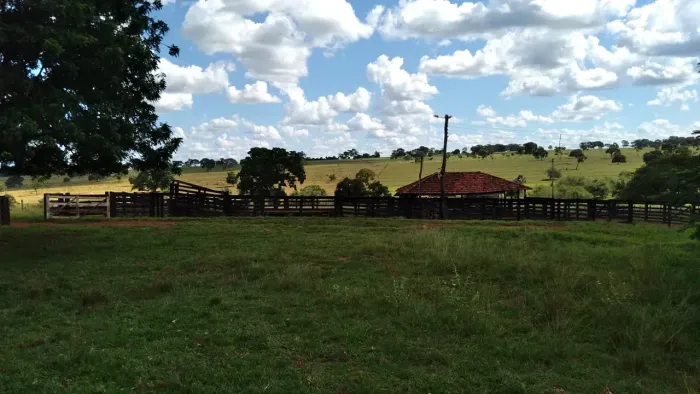 FAZENDA À VENDA DUPLA APTIDÃO ENTRE CAMPINA VERDE E ITURAMA/MG