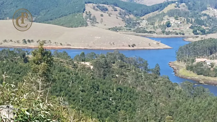 Fazenda com eucalipto plantado e vista maravilhosa para represa em em Salesópolis - SP