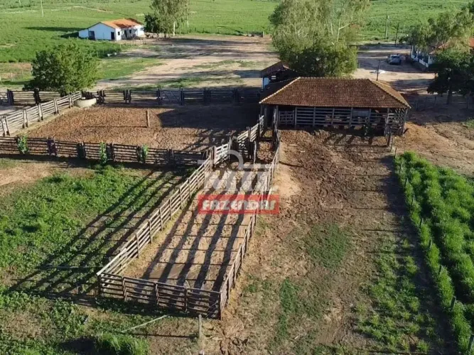 Fazenda 2000 Hectares Jaiba - MG