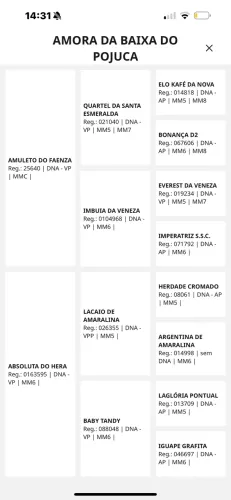 Egua Mangalarga registrada