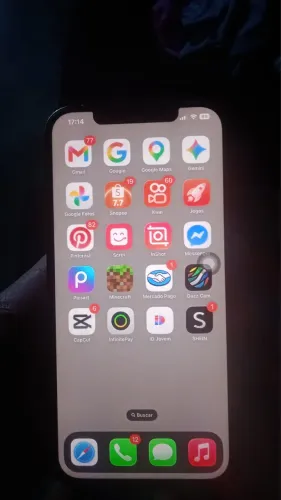 12 pro max