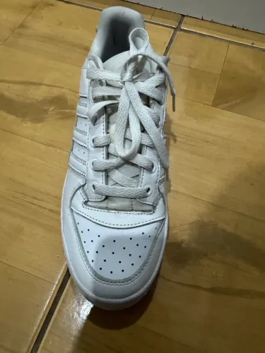 Adidas forum bold
