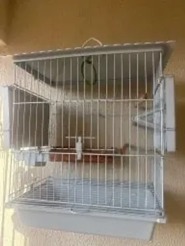 Gaiola de passarinho com pé 