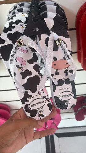 Havaiana premium