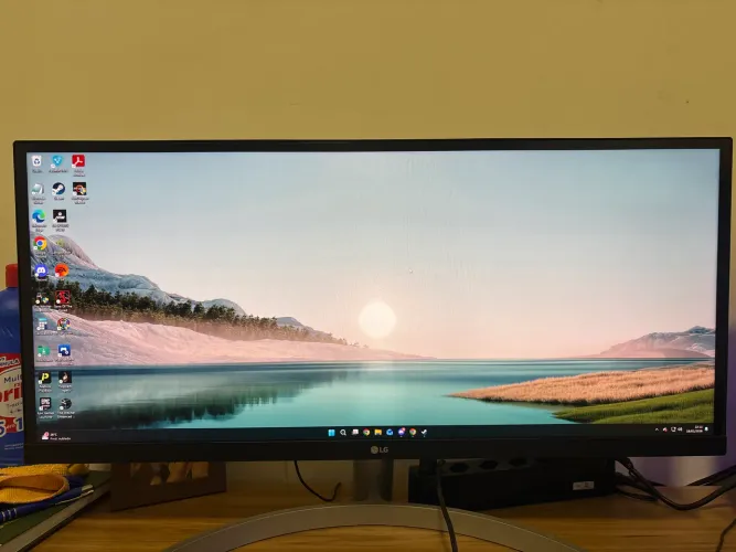 Monitor LG 29 Ultrawide c saídas de som