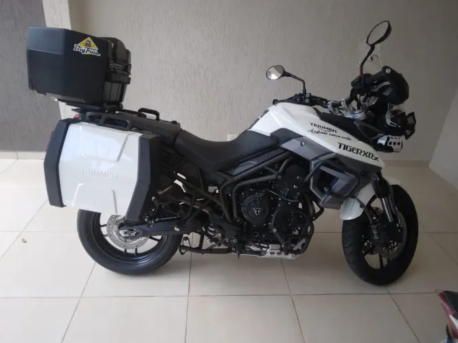 Tiger 800 2017