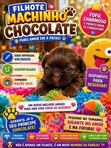 Vc merece muito o melhor 
