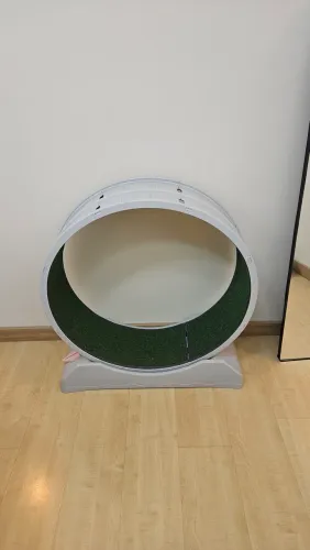 Roda para gatos