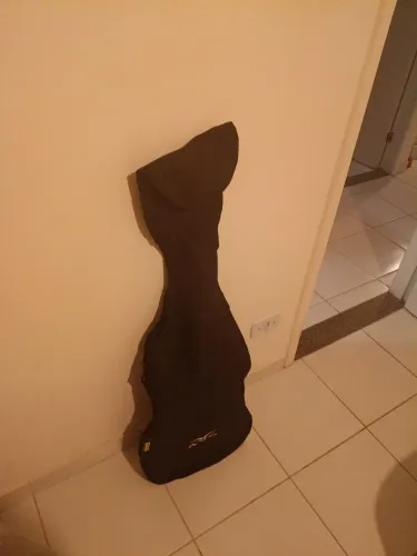 Guitarra Stratocaster com Capa