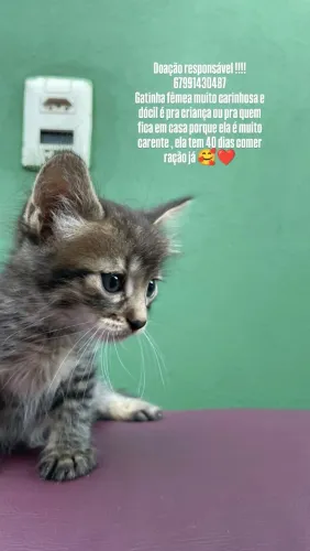 Doação urgente!!!