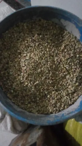 Café em grão 