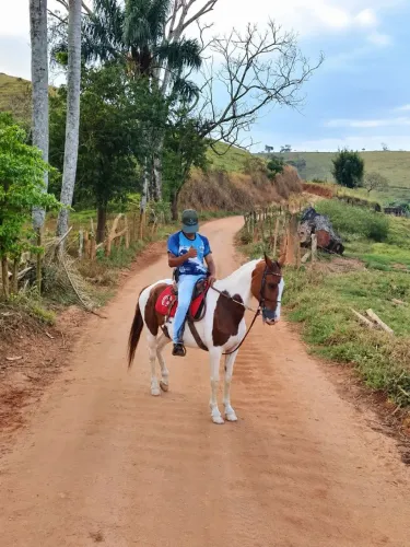 Cavalo pampa marcha picado quente, castrado 8 anos 30 de 300,00