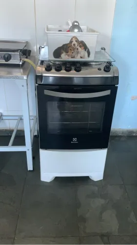 Fogão