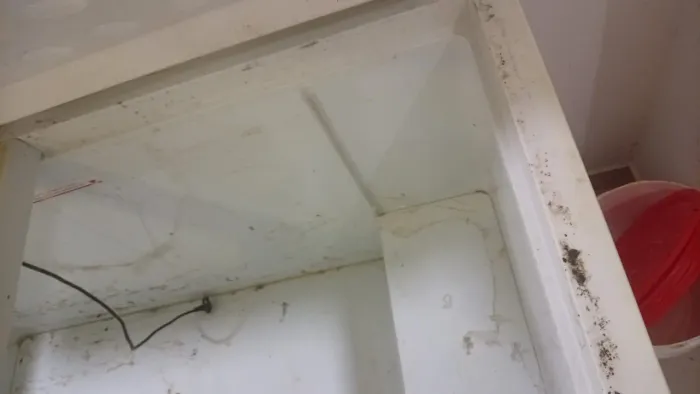 Freezer 500 L