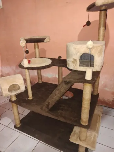 Casa de gato ( playground)