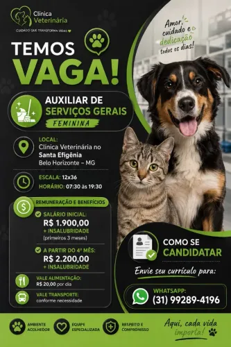 Vaga Auxiliar de Serviços Gerais - Feminina