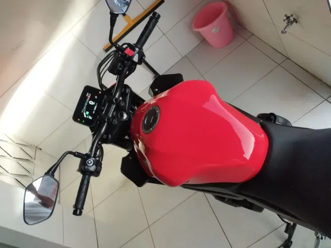 Hornet 500